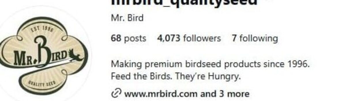 Keeping up with Mr. Bird