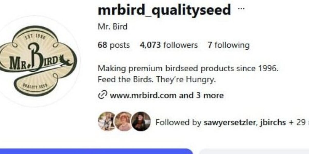 Keeping up with Mr. Bird