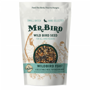WildBird Feast Bag Seed - 4lb