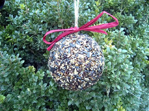 Seed & Nut Ornament - Image 8