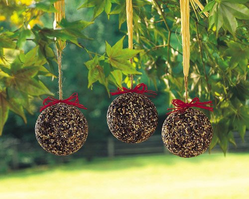 Seed & Nut Ornament - Image 5