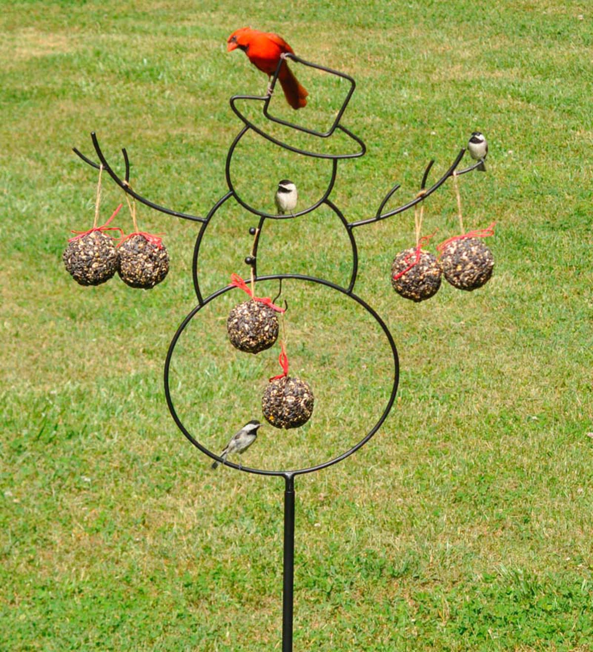 Seed & Nut Ornament - Image 4