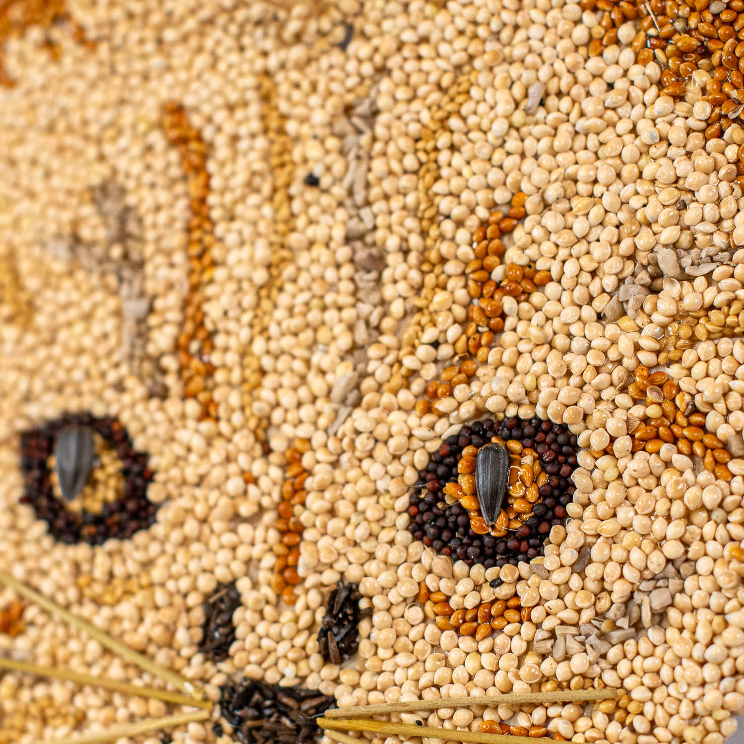 Cat Cookies - Image 9