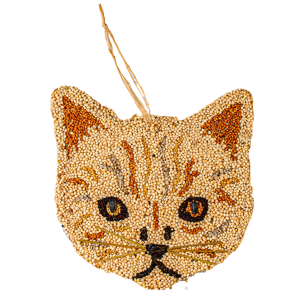 Cat Cookies - Image 5