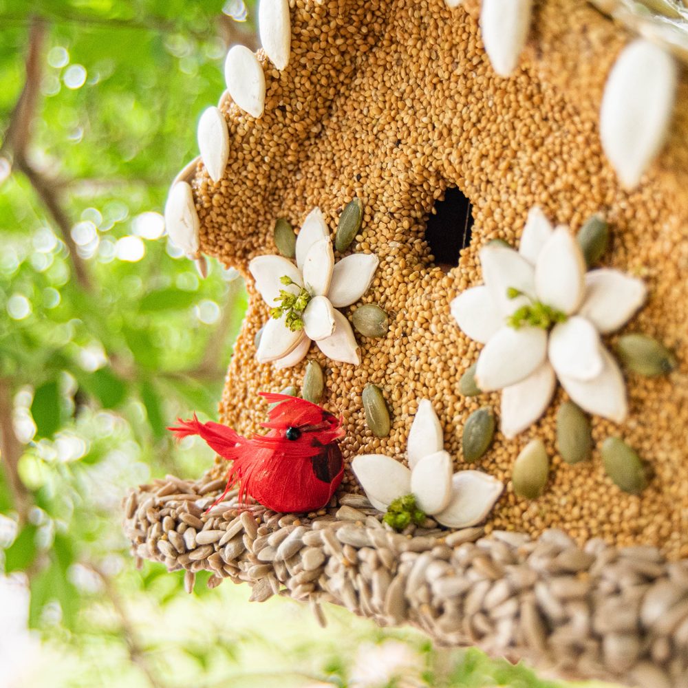 Poinsettia House - Image 5