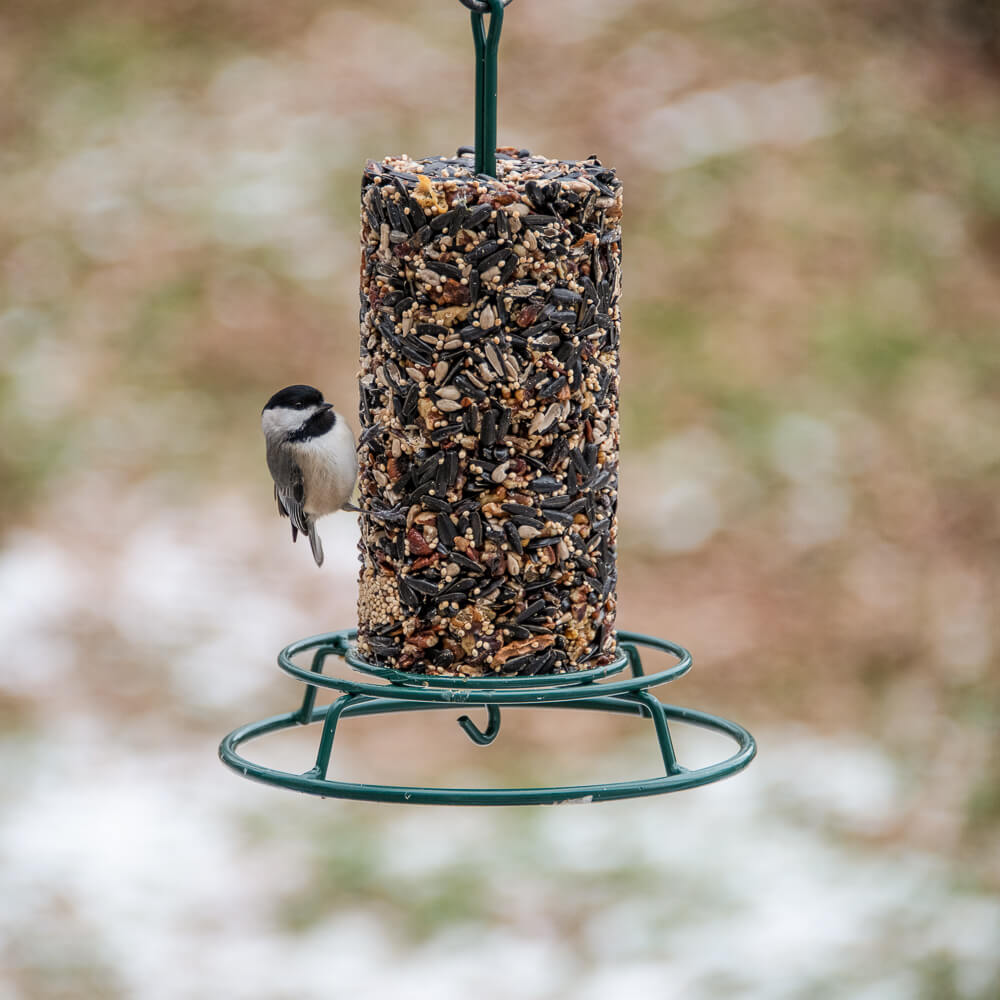 WildBird Feast Cylinder - Small - Image 3