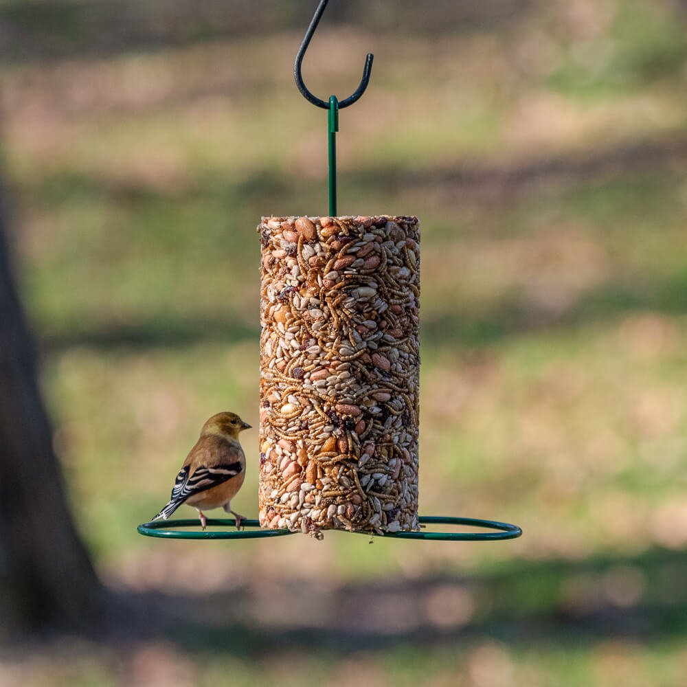 Cylinder Feeder - Image 5