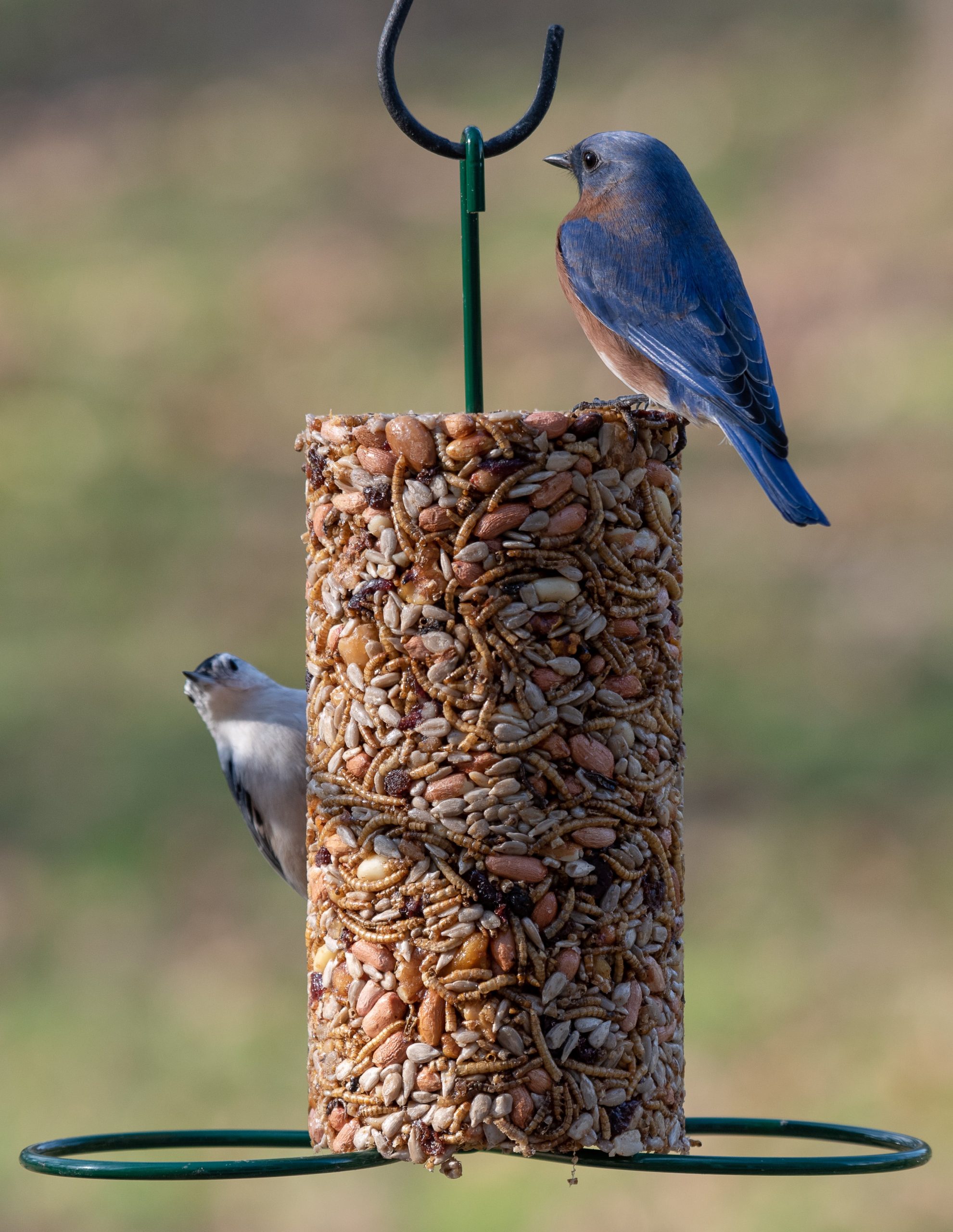 Cylinder Feeder - Image 3