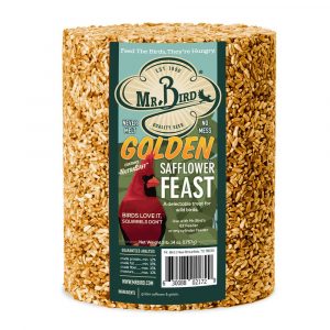 Golden Safflower Cylinder - Large