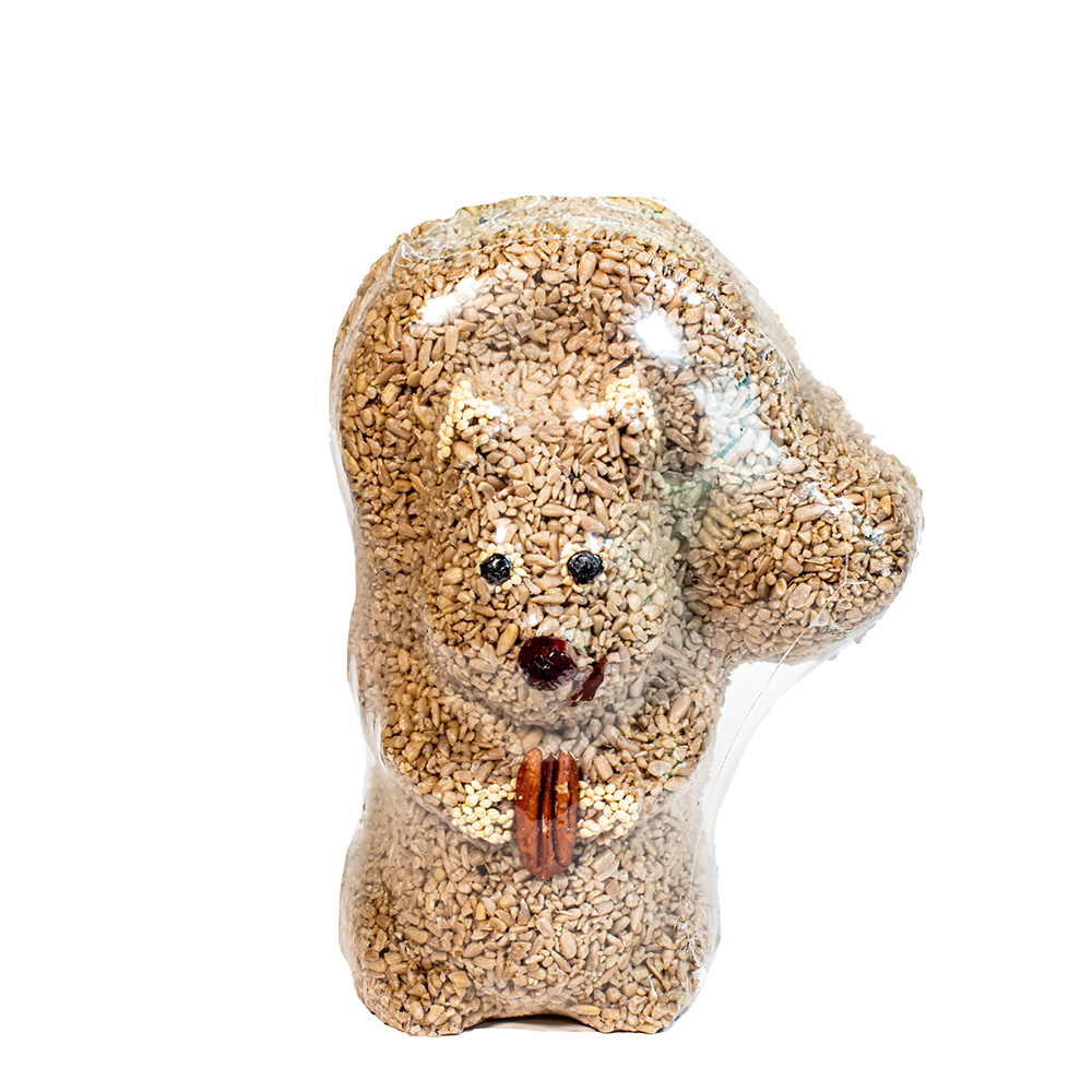 Nutzo Squirrel - Image 5