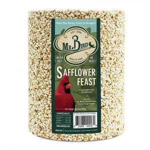 Safflower Cylinder - Large