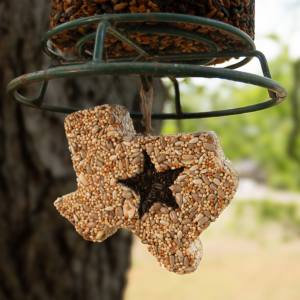 Lone Star Seed Treat - White Refill