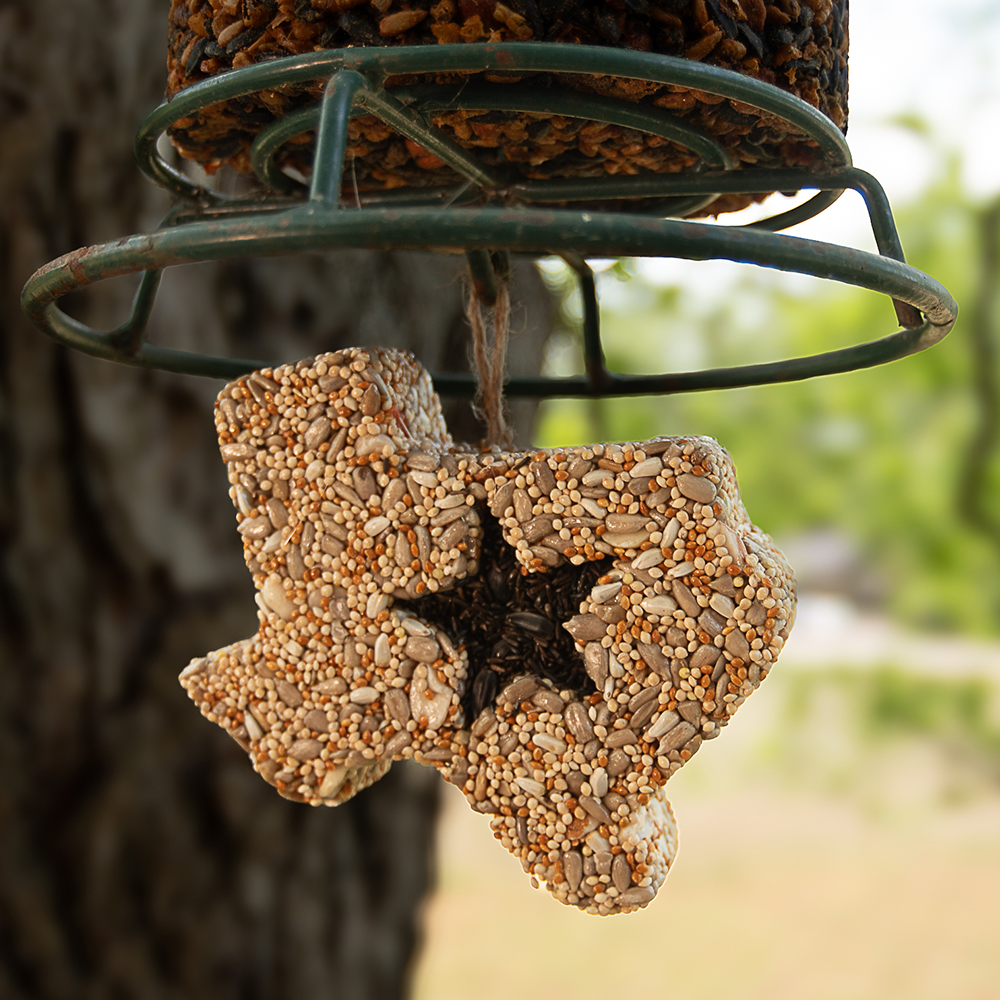Lone Star Seed Treat - Image 6