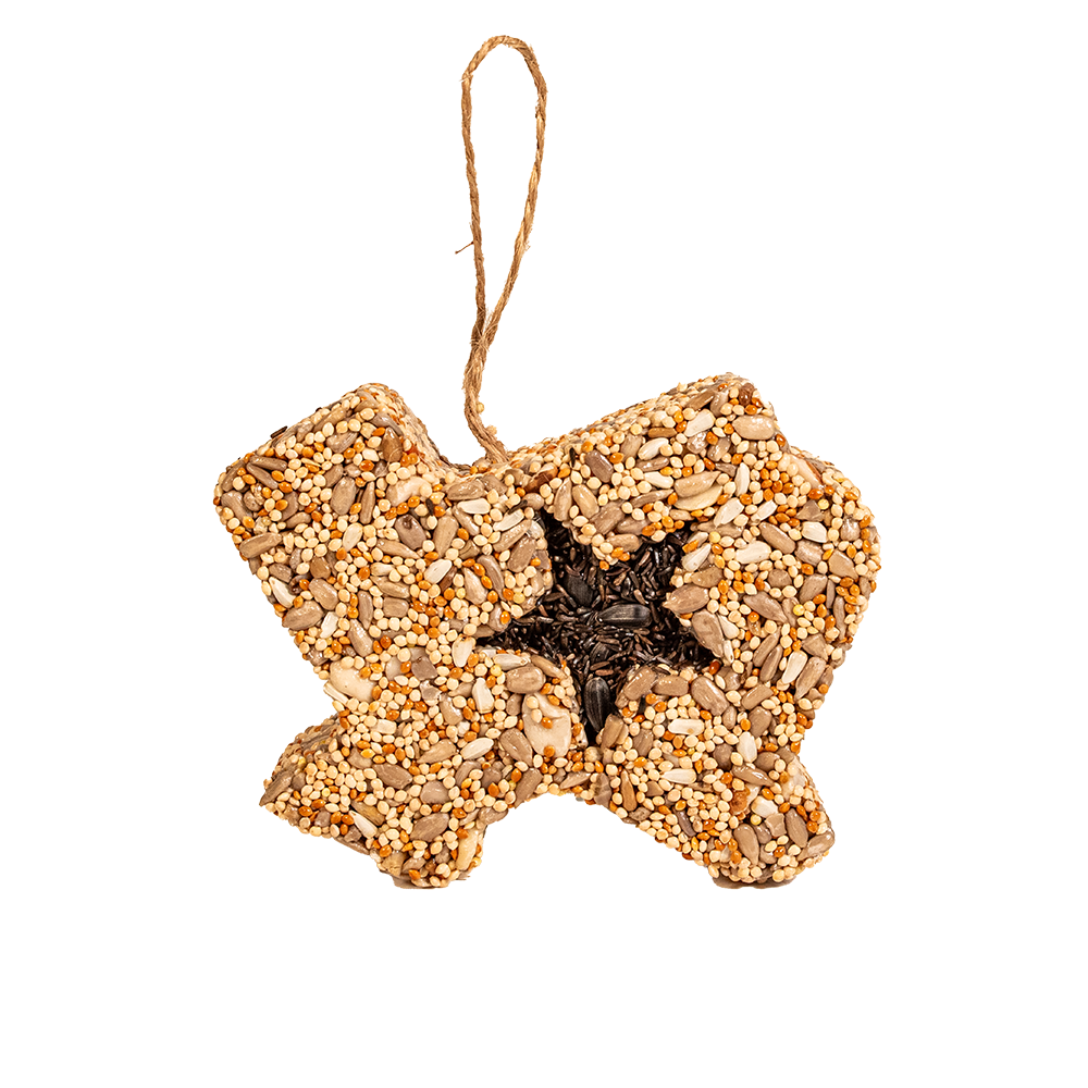 Lone Star Seed Treat - Image 9