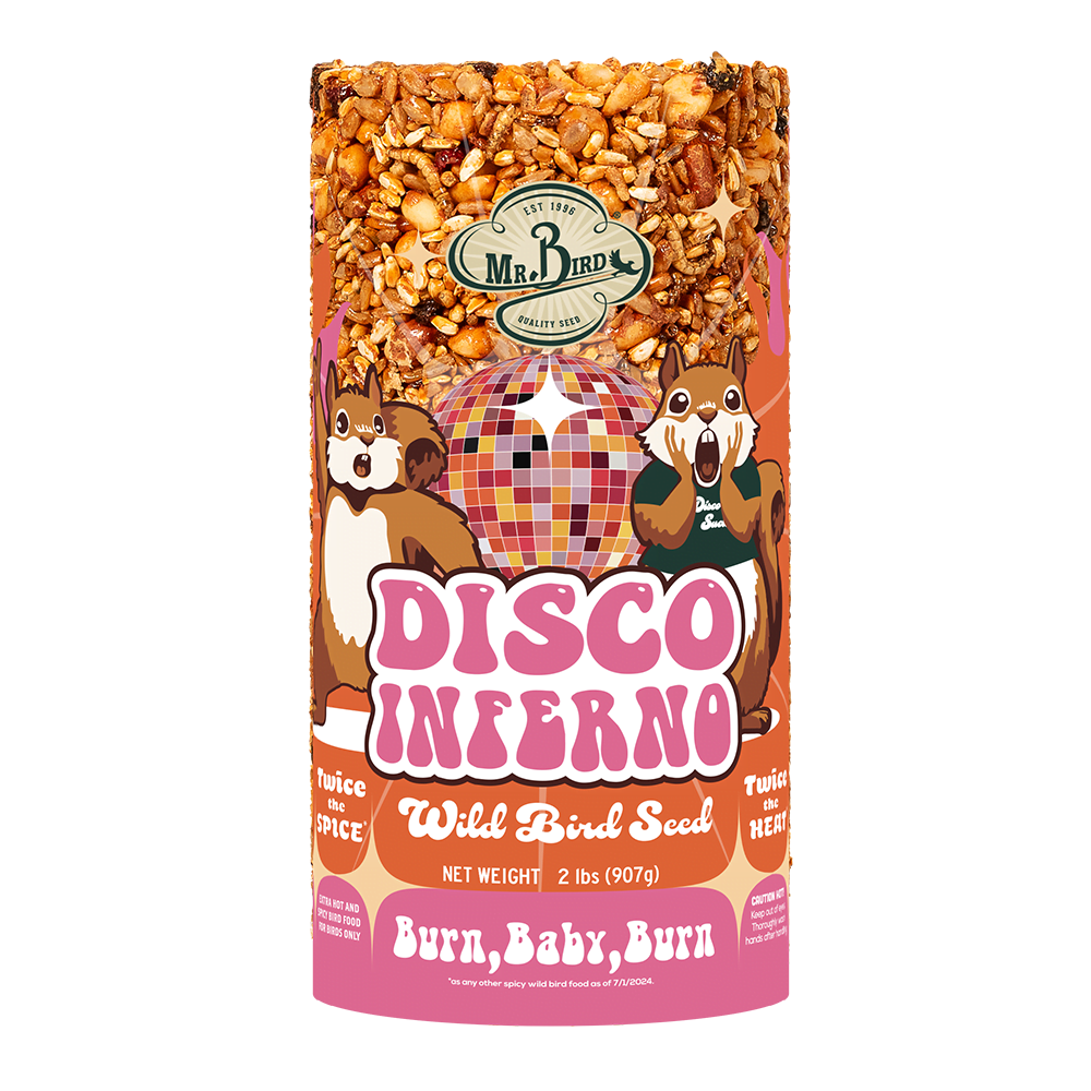 Disco Inferno Sm Cylinder