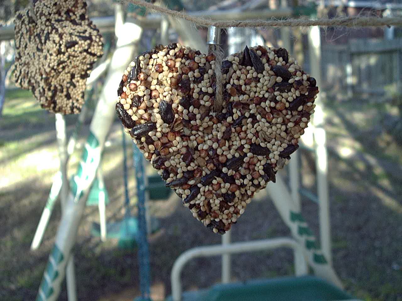Little Heart - Image 4