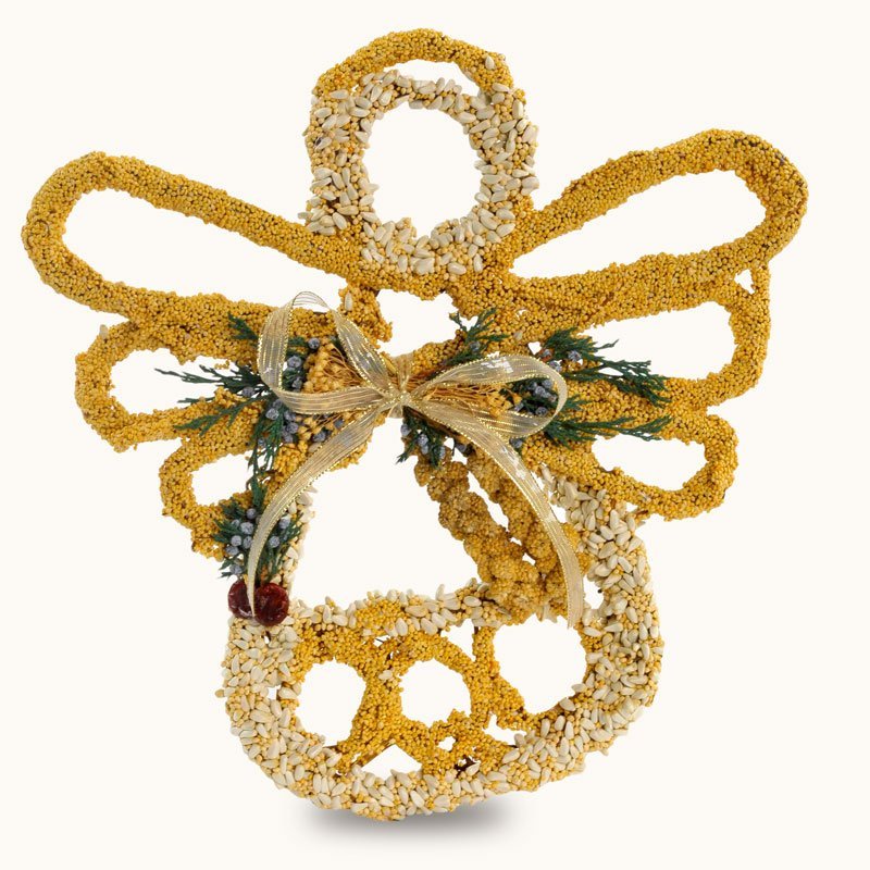 Seed Angel - Image 5