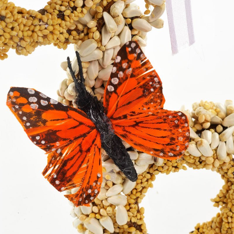 All Season Seed Angel - Image 3