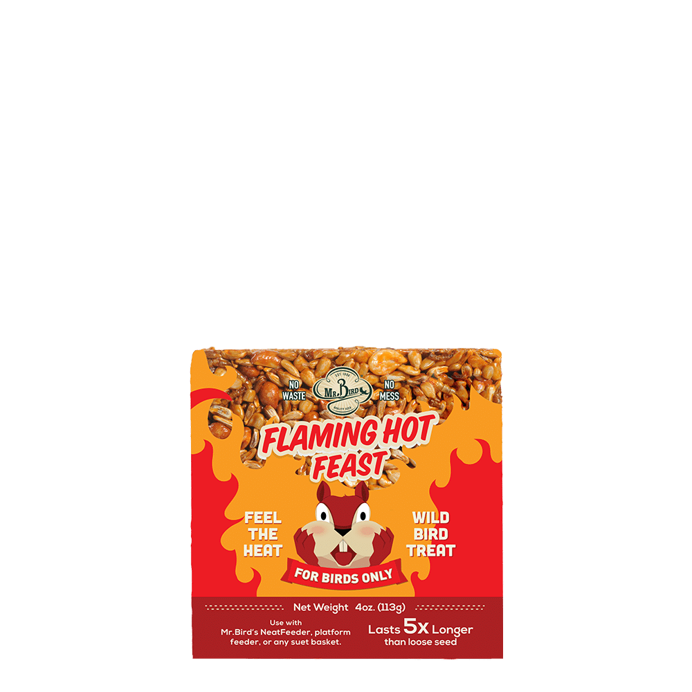 Flaming Hot Feast Cake - Small - Better Formula!