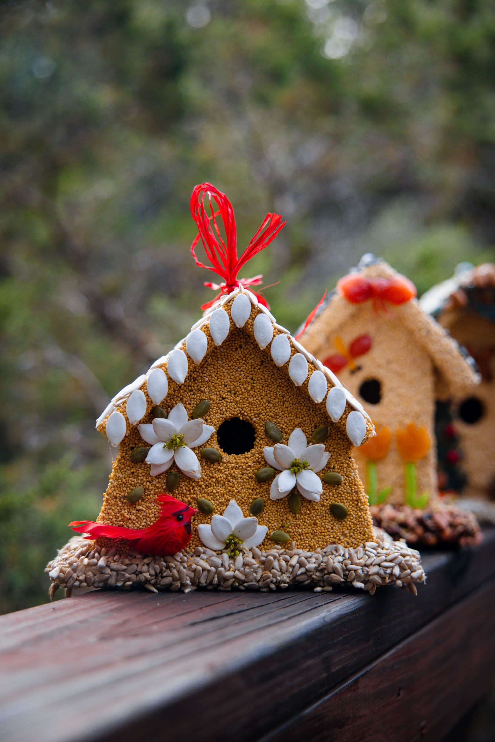 Poinsettia House - Image 8
