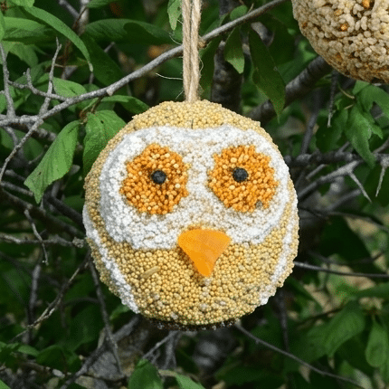 Woodland Friends - Owl