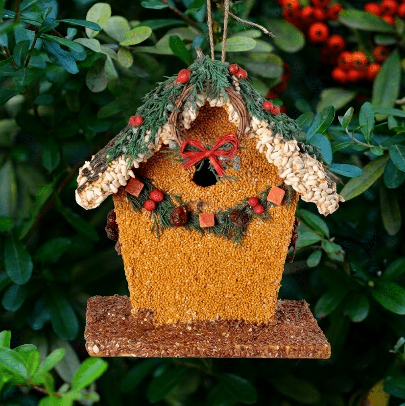Birdie's B&B Wren