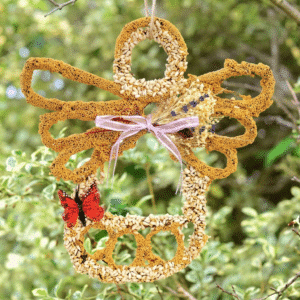 All Season Seed Angel
