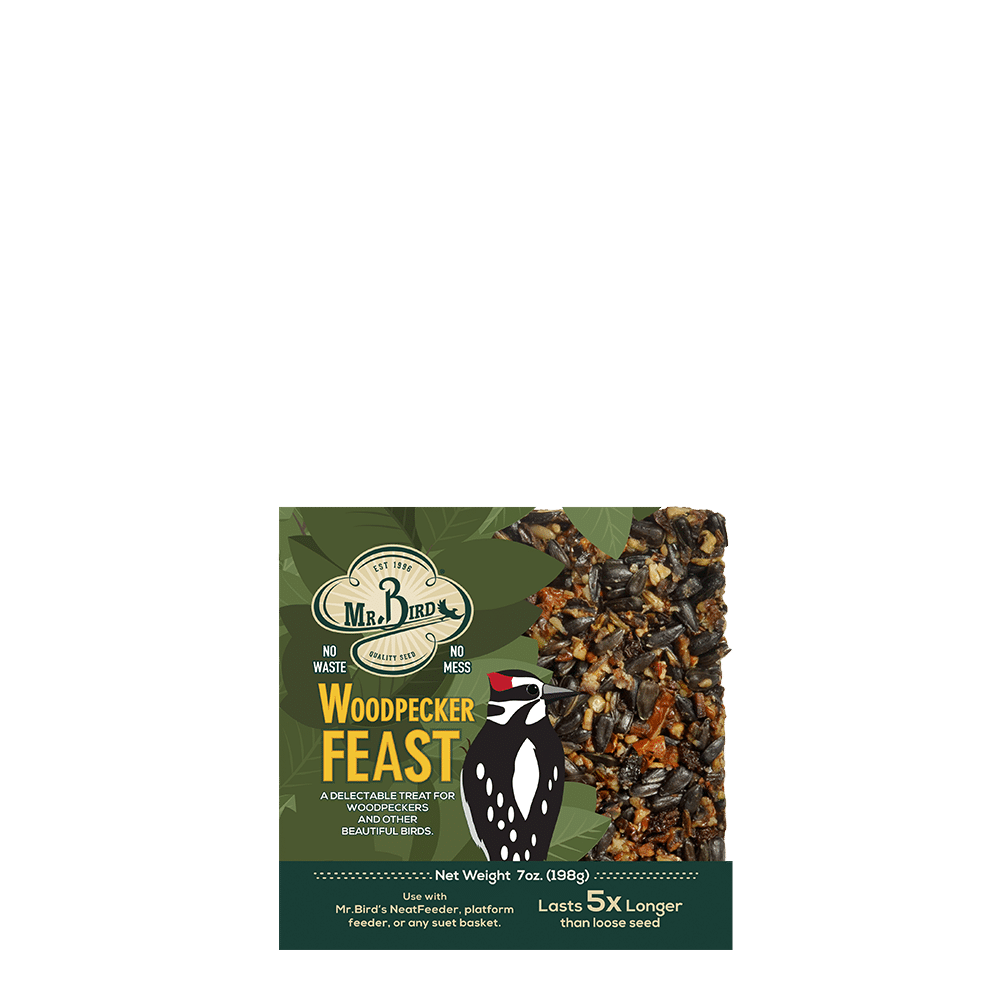 Woodpecker Feast Cake - Small