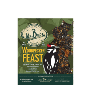 Woodpecker Feast Cake - Large