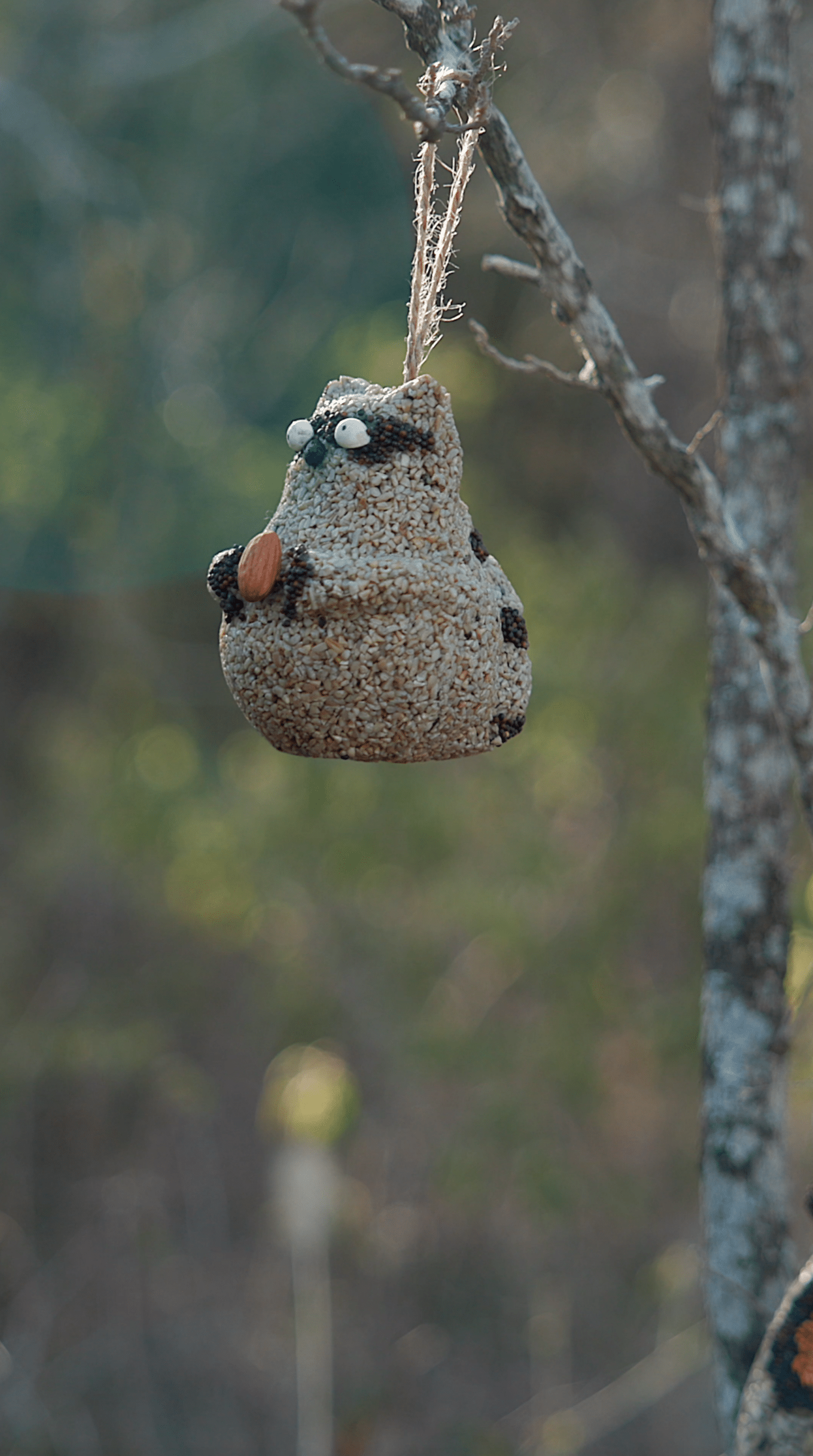 Woodland Friends - Assortment - Image 8