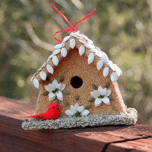 Poinsettia House