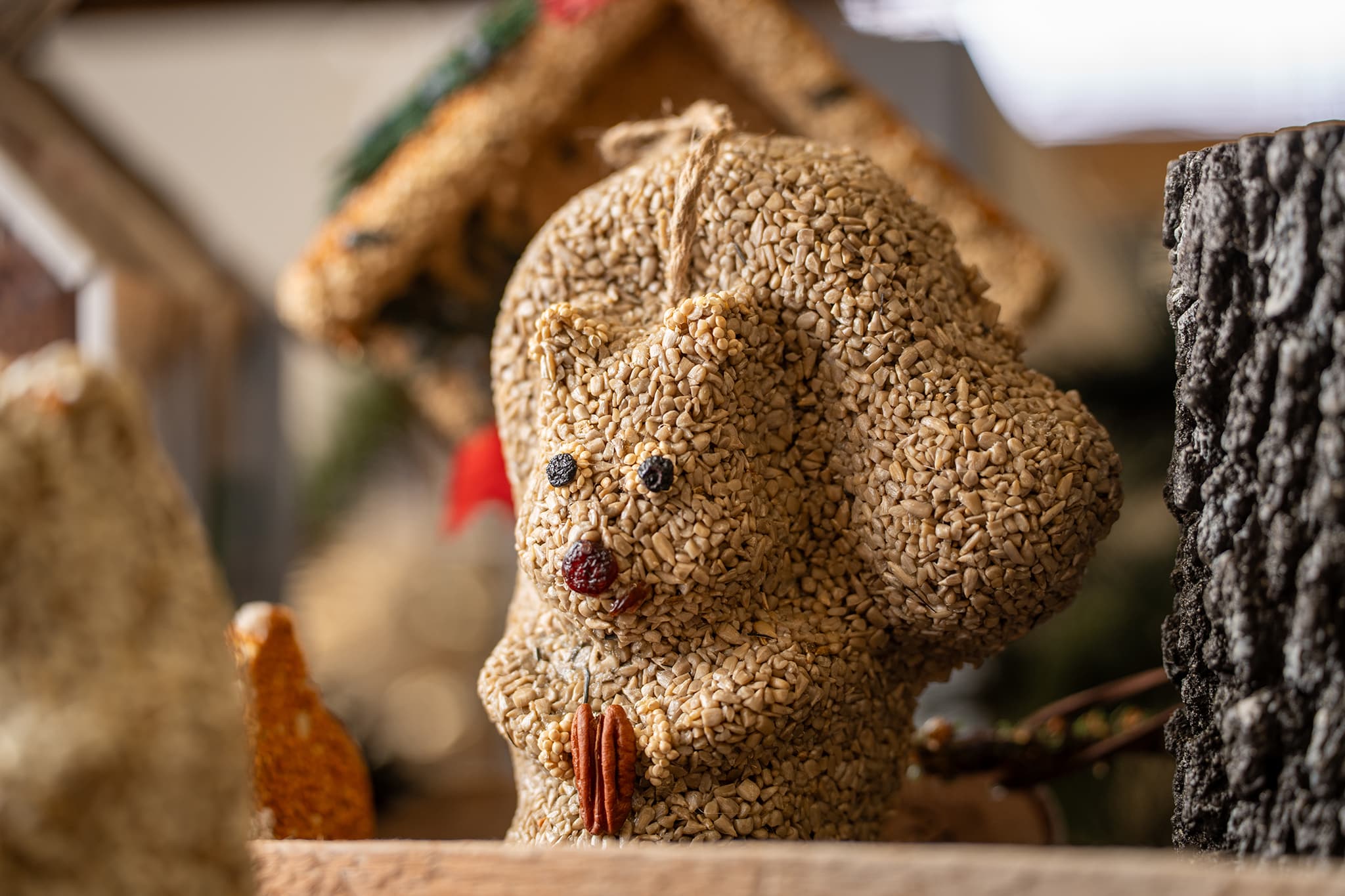 Nutzo Squirrel - Image 3